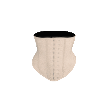 Waist Trainer Sticker by ShapeWaist