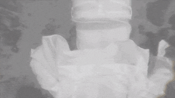 true romance swimming GIF by Vacation Forever