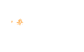 Party Fireworks Sticker