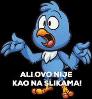 Nest360 nela nekretnine nest360 ptica GIF