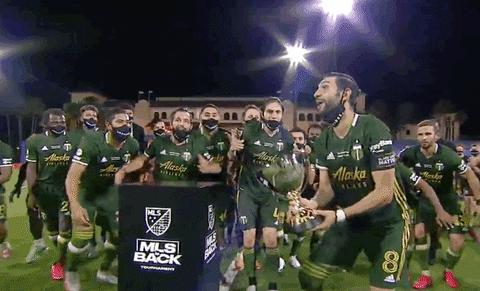 Portland Timbers Win GIF by Major League Soccer