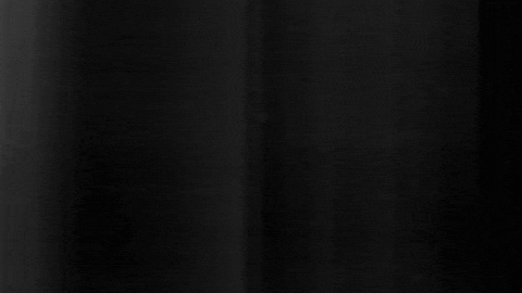 Football Sport GIF by SK Sturm Graz