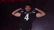 University Of Cincinnati Point GIF by Cincinnati Bearcats