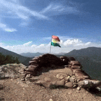 Flag Al GIF