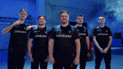 Counter Strike Team GIF by BLAST
