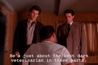 season 1 GIF by Twin Peaks on Showtime