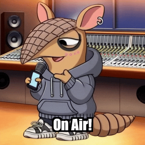 On Air Radio GIF by Chillo Dillo
