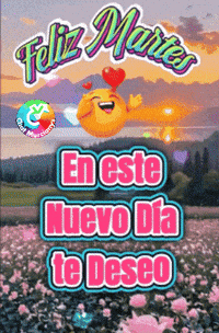 Salud Amigos GIF by Murcianys LLC