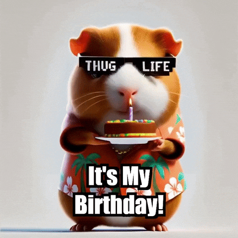 Guinea Pig Birthday GIF by Guinea Gambino