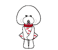 Charlotte Poodle Sticker