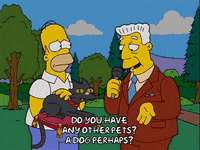 Episode 14 GIF by The Simpsons