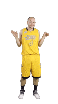 Basketball Team Sticker by ACSL - Austrian College Sports League