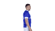 FCdeRakt fc de rakt rik van de boom Sticker