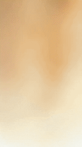 Cat Rat GIF by Youtooz