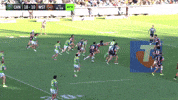 Try Nrl GIF by Canberra Raiders