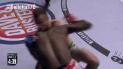 fight mma GIF by Bellator