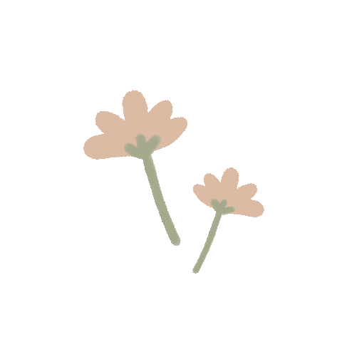 huanyi giphyupload illustration nature flower Sticker