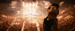 brendon urie dancings not a crime GIF by Panic! At The Disco