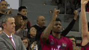 Liga Endesa Dancing GIF by ACB