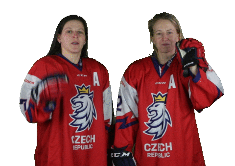 Celebration Hockey Sticker by Národní tým