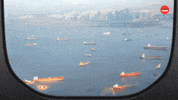 Baggage Holdays GIF by BuzzFeed