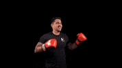 GIF by Ensenat