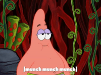 season 8 spongebob's runaway roadtrip: a squarepants family vacation GIF by SpongeBob SquarePants