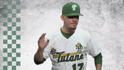 baseball crowd GIF by GreenWave