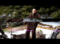 dance dancing dumb seattle bailar GIF