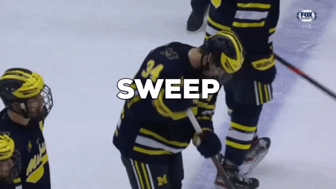 Sweep GIF by Michigan Athletics