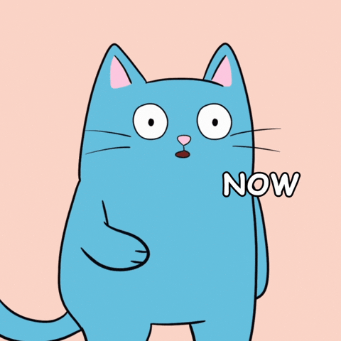 Cat See GIF