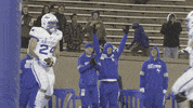 Air Force GIF by Air Force Falcons