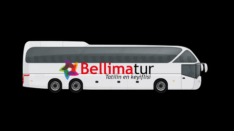 bellimatur giphyupload GIF