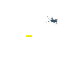 kothrine barata baratas barata medo barata nojenta Sticker