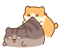 Cat Play Sticker by Bichi Mao