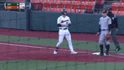 Jacob Melton GIF by Oregon State Baseball