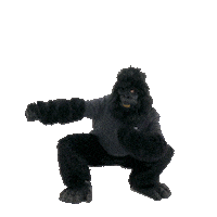 HurlingHatchet dance party dancing weekend Sticker