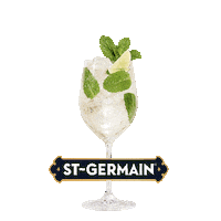 Cheers Spritz Sticker by St-Germain