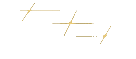 Art Festival Sticker by BanzaiLab