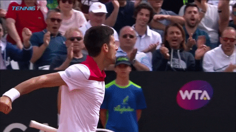 novak djokovic celebration GIF by Tennis TV