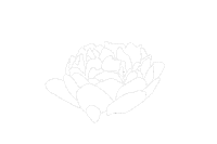 Art Flower Sticker
