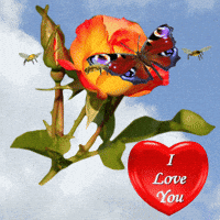 I Love You GIF