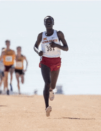 GIF by Iowa State