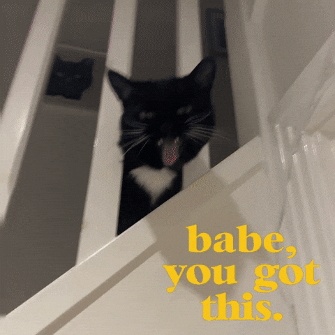 You Got This Black And White Cat GIF