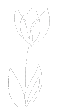 Flower Plant Sticker