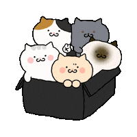 ggoburang_cat cat 고양이 하트 브이 Sticker