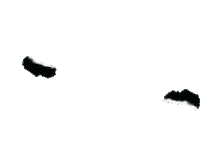 Form 8 Sticker by LudoSport Hispania