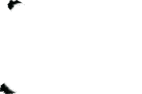 Form 2 Sticker by LudoSport Hispania