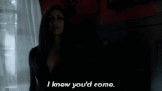 fox heroes will rise GIF by Gotham