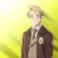 America Alfred F Jones GIF